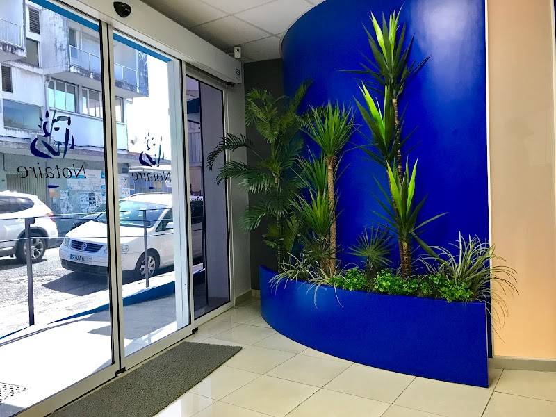Notaires KACY POINTE A PITRE